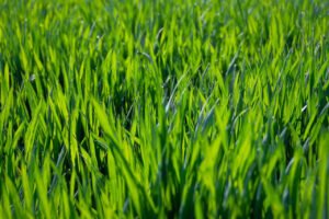 SHA-256 encryption explained for beginners