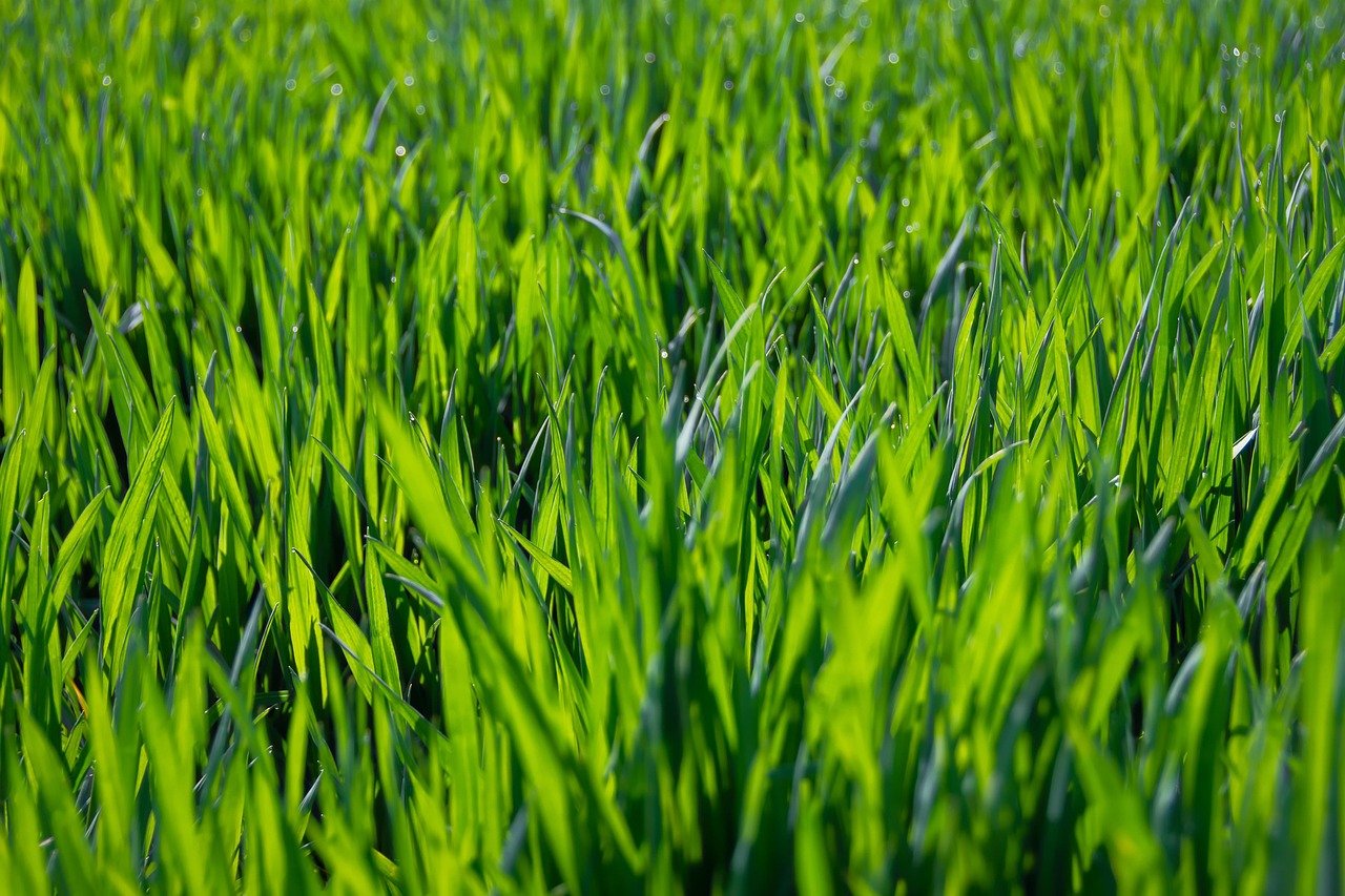 SHA-256 encryption explained for beginners