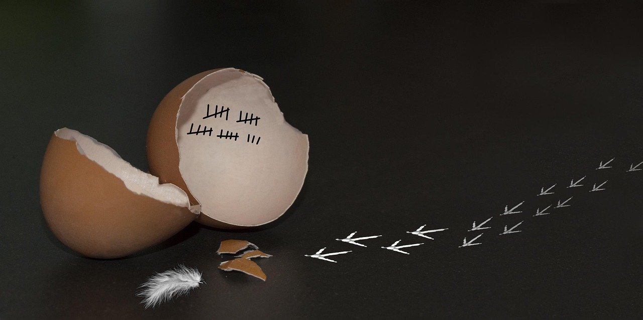 Calculer somme, moyenne, min, max dans vos CSV par colonne spécifique